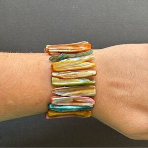 Vintage Multi-Color Abalone Shell Stretch Bracelet